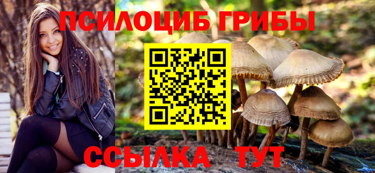 Галлюциногенные грибы мухоморы Краснокаменск